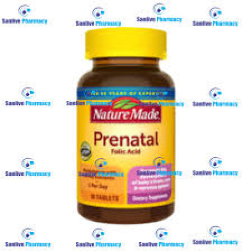 Nature Made Prenatal x100 Softgel